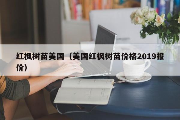 红枫树苗美国（美国红枫树苗价格2019报价）