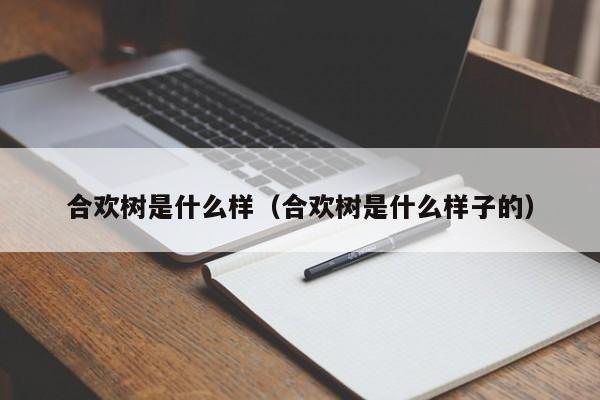 合欢树是什么样（合欢树是什么样子的）