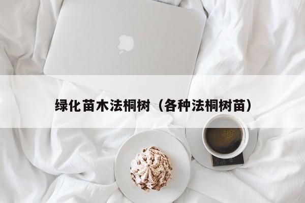 绿化苗木法桐树（各种法桐树苗）