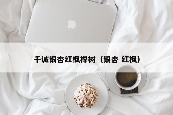 千诚银杏红枫榉树（银杏 红枫）