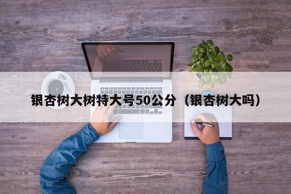 银杏树大树特大号50公分（银杏树大吗）