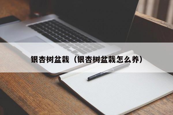 银杏树盆栽（银杏树盆栽怎么养）