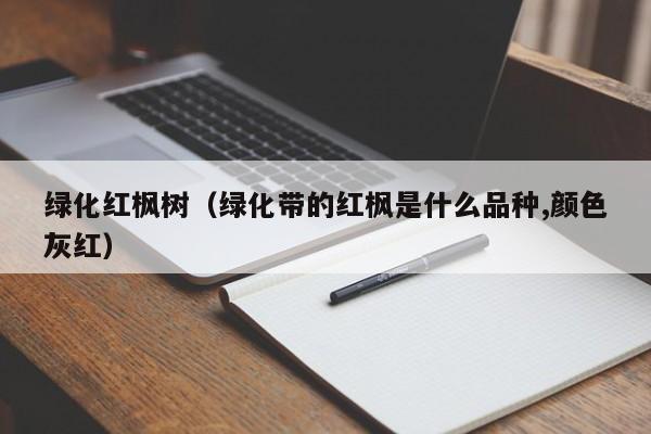 绿化红枫树（绿化带的红枫是什么品种,颜色灰红）