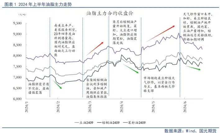 油脂上半年震荡上涨 下半年如何演绎？