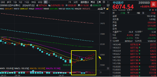 CXO、医疗设备联袂拉涨，医疗ETF（512170）逆市斩获四连阳！公募基金医药持仓降至冰点，机构：有望企稳回升