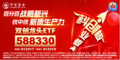 政策点火！三部门发文建设电力系统，涉及算力、电动汽车！硬科技宽基——双创龙头ETF（588330）迎机遇？